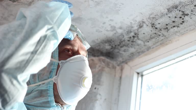 Best Residential Mold Inspection & Testing  in Fairforest, SC